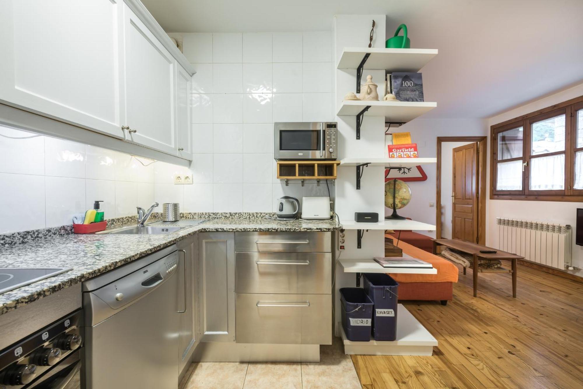 Apartamento La Benasquita 贝纳斯克 外观 照片